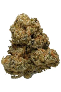 Read more about the article 3 Kings Weed | Express Weeds Shop