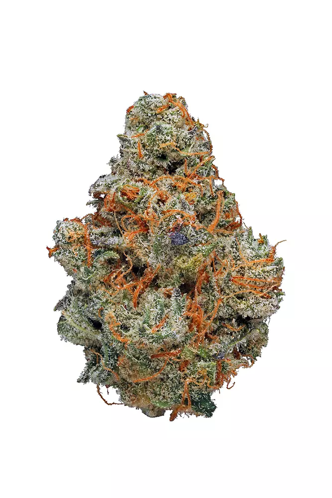 You are currently viewing Agent Orange Strain | Express Weeds Shop