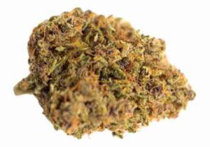 Read more about the article Alien Dream Strain | Express Weeds Shop