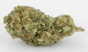 Read more about the article Alien Kush Strain | Express Weeds Shop