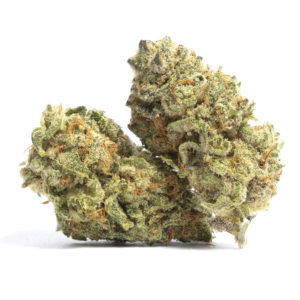 Read more about the article Banana Express Strain | Express Weeds Shop