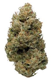 Read more about the article Banana Kush Strain Info | Express Weeds Shop