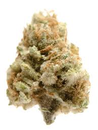 Read more about the article Banana Kush Thc Level | Express Weeds Shop