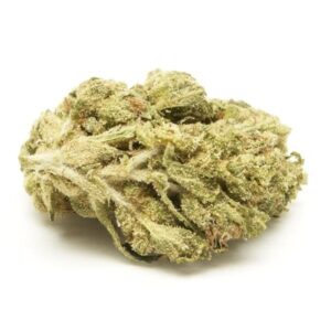 Read more about the article Berry White Strain Review | Express Weeds Shop