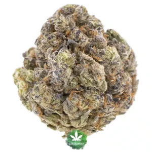 Read more about the article Bubble Burst Strain | Express Weeds Shop