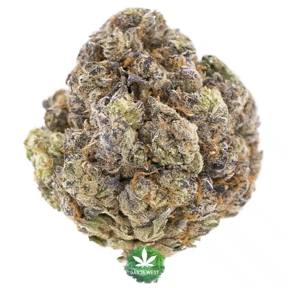 You are currently viewing Bubble Burst Strain | Express Weeds Shop