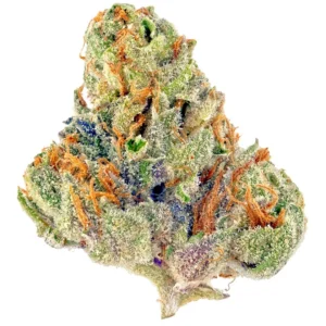 Read more about the article Bubble Gum Burst Strain | Express Weeds Shop