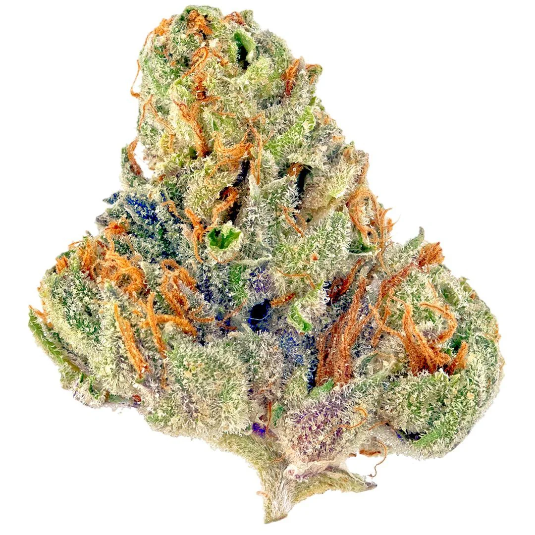 You are currently viewing Bubble Gum Burst Strain | Express Weeds Shop