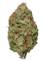 Read more about the article Bubble Gum Weed | Express Weeds Shop