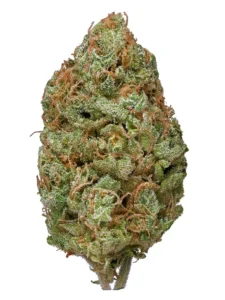 Read more about the article Dubble Gum Strain | Express Weed Shop