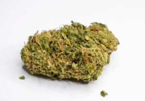 Read more about the article Golden Goat Strain | Express Weeds Shop