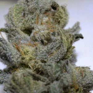 Read more about the article Gorilla Ice Cream Strain | Express Weeds Shop