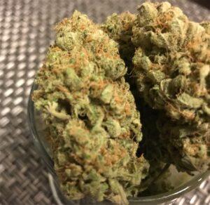 Read more about the article Gum Gum Strain | Express Weeds Shop