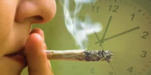 Read more about the article How Long Does Weed Stay in Your System?