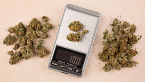 Read more about the article How Many Grams Are in a Quarter of Weed? A Clear Explanation