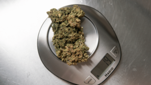 Read more about the article How Many Grams Are in 1 Ounce of Weed?