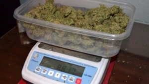 Read more about the article How Much is in an Ounce of Weed?