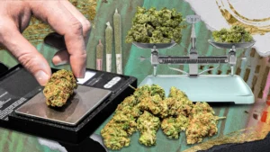 Read more about the article How Much Weed is in a Half Ounce? A Guide to Understanding Cannabis Measurements