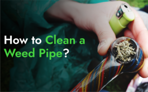 Read more about the article How to Clean a Weed Bowl: A Simple Guide for Maintaining Your Smoking Piece