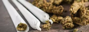 Read more about the article How to Get Weed Out of Your System: A Comprehensive Guide