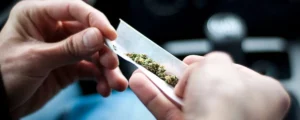 Read more about the article How to Get Weed Smell Out of a Car: A Complete Guide