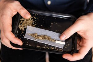 Read more about the article How to Grind Weed Without a Grinder: A Step-by-Step Guide