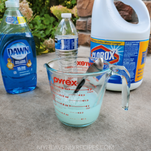 Read more about the article How to Use Bleach to Kill Weeds on Your Driveway