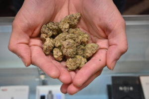 Read more about the article Is Kansas Legalizing Weed?