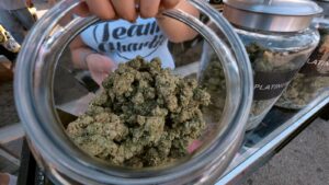 Read more about the article Is Weed for Warriors Jet Fuel: Exploring the Benefits of Cannabis for Veterans