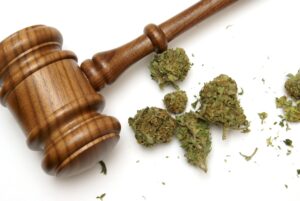 Read more about the article Is Weed Generally Acceptable on Drug Tests in California?