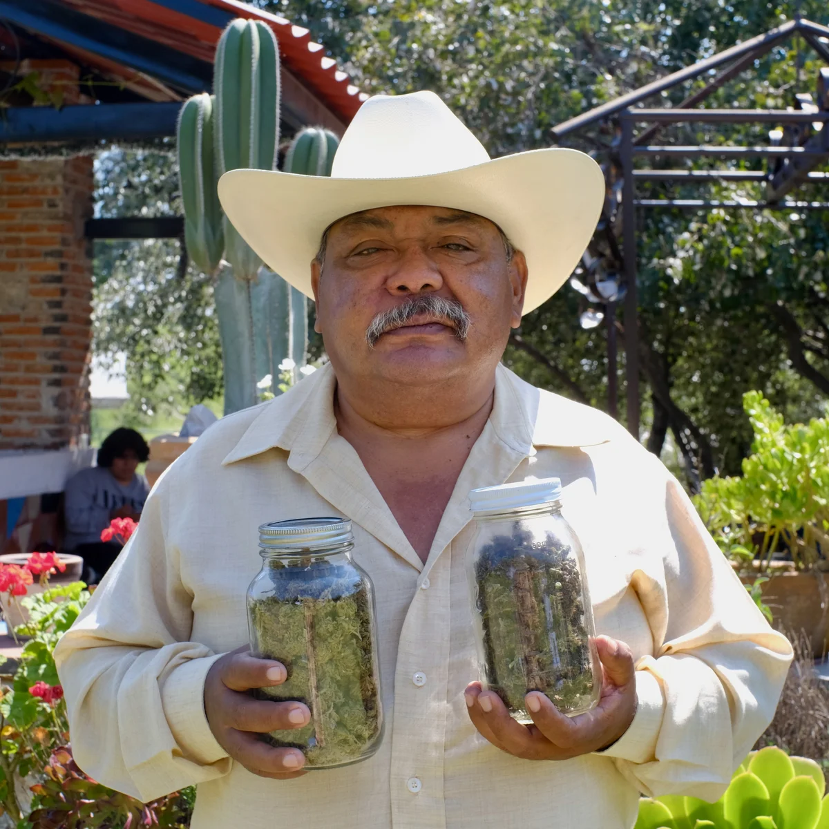 You are currently viewing Exploring Mexican Weed Culture: A Rich History and Growing Influence