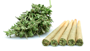 Read more about the article The Ultimate Guide to Pre-Roll Weed: Everything You Need to Know