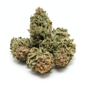Buy 9 Pound Hammer strain online
