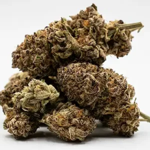 Buy Amnesia Haze Strain online