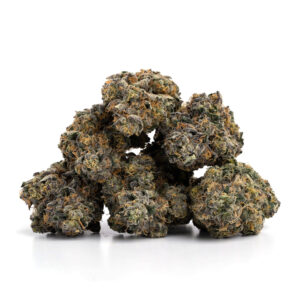 Buy Blackberry Kush strain online