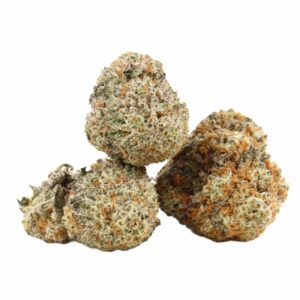 Buy Chocolope Strain online