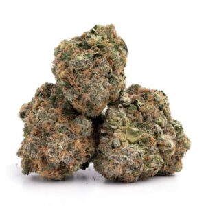 Buy Master Kush strain online
