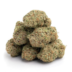 Buy Maui Wowie Strain online