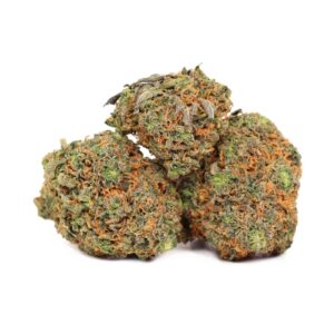 Buy Moby Dick strain online