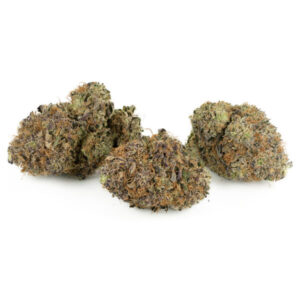 Buy Purple Kush strain online