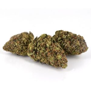 Buy Skywalker OG strain online