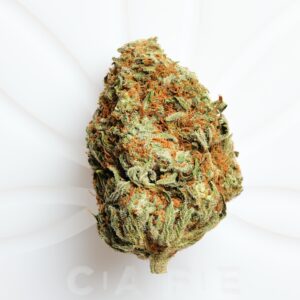Buy Tangie Strain online