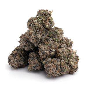 Buy Animal Cookies strain online