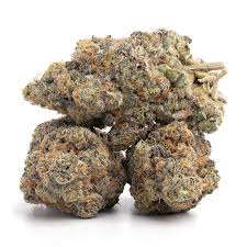 Buy Apple Fritter strain online