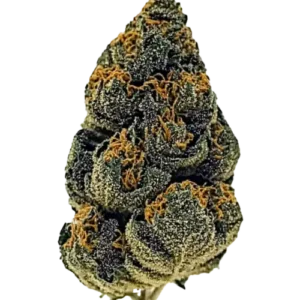 Buy Banana MAC strain online
