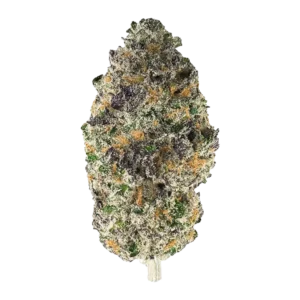 Buy Big Smooth strain online