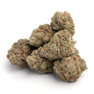 Buy Biscotti strain online