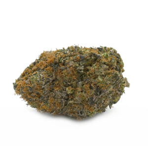 Buy Black Dog strain online