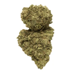 Buy Blanco strain online