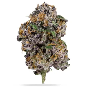 Buy Blue Guava Gelato strain online